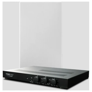 Totem Tribe In-Wall Sub 12 subwoofer da incasso – bianco con griglia