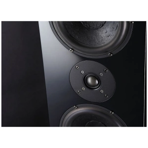 Usher P-717 coppia di diffusori da pavimento – foto 5
