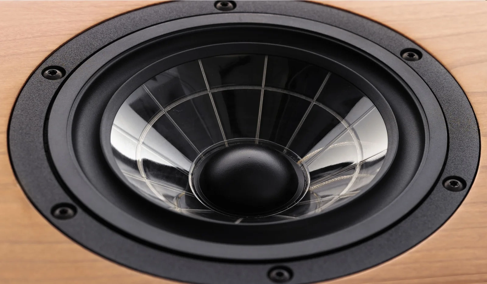 Vienna Acoustics Mozart Grand diffusori da pavimento Piano Black – foto 5 Vienna Acoustics Mozart Grand diffusori da pavimento Piano Black – foto 5