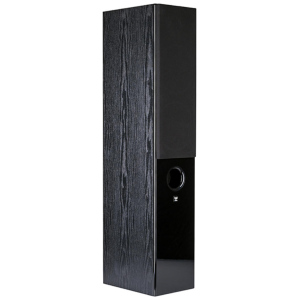 Wilson Raptor 7 – Diffusore da Pavimento 2 Vie - immagine 2