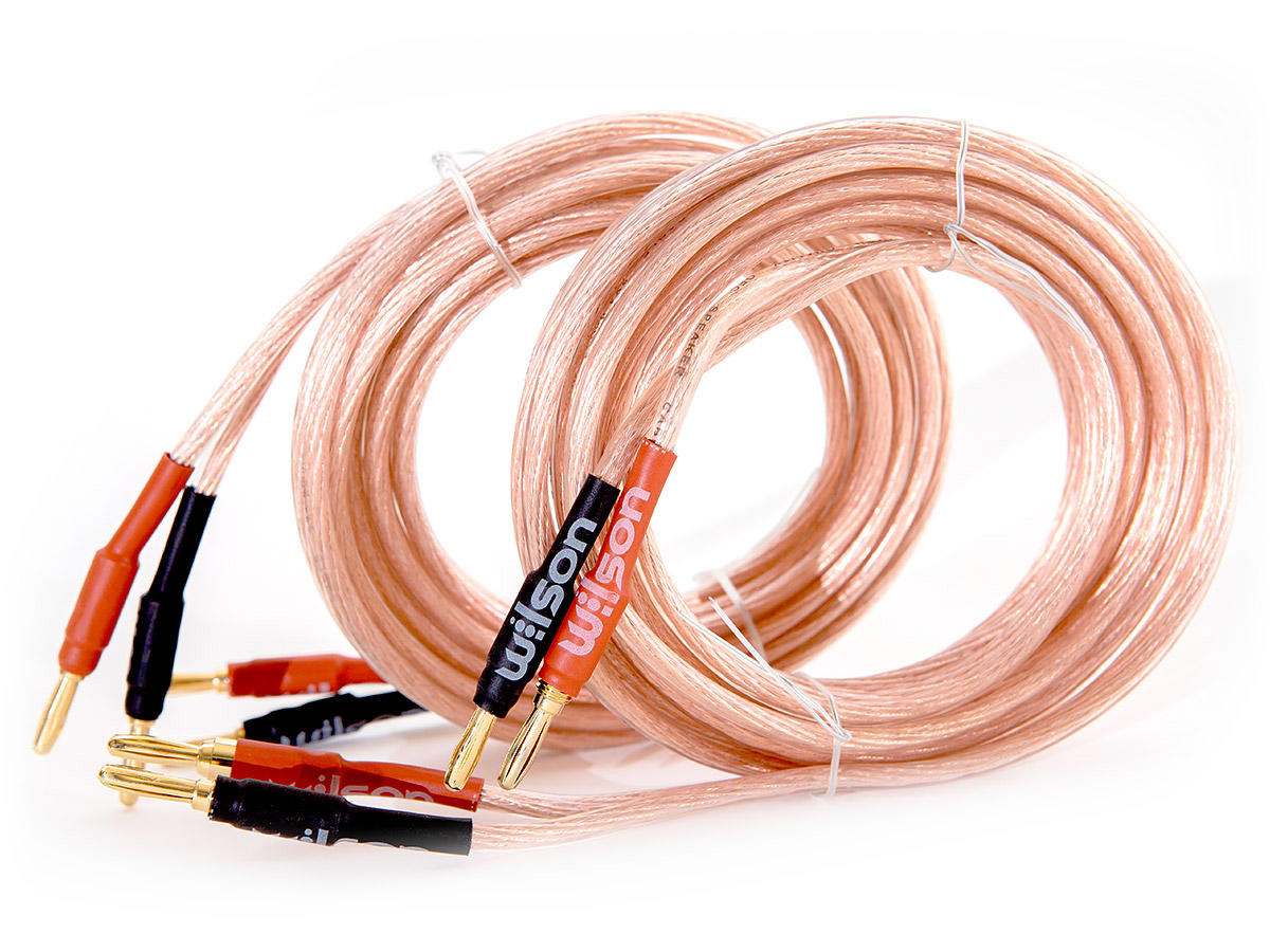 Wilson SPK Cable 4 mm² 2×3 m – Cavi per Altoparlanti con Spine a Banana Wilson SPK Cable 4 mm² 2×3 m – Cavi per Altoparlanti con Spine a Banana