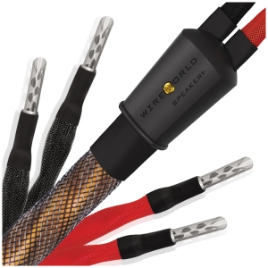 Wireworld Eclipse 10 Biwire cavi per diffusori – coppia di cavi biwire completa