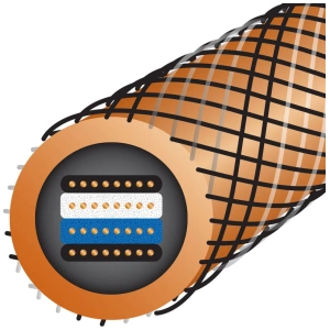 Wireworld Eclipse 10 RCA cavo di interconnessione – sezione trasversale dei conduttori