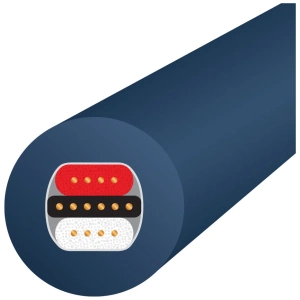 Wireworld Luna 10 RCA cavo di interconnessione – sezione trasversale dei conduttori
