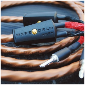 Wireworld Mini Eclipse 10 cavo per diffusori – vista d'insieme del cavo