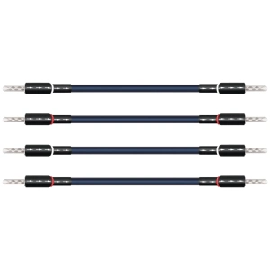 Wireworld Oasis 10 ponticelli biwire – terminazione banana-banana
