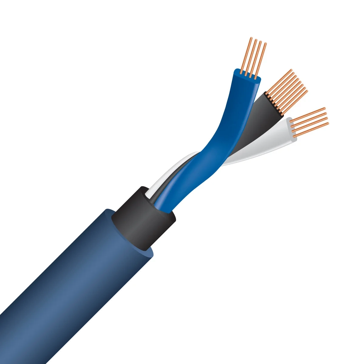 Wireworld Oasis 10 RCA cavo di interconnessione β spaccato con la struttura interna del cavo Wireworld Oasis 10 RCA cavo di interconnessione β spaccato con la struttura interna del cavo