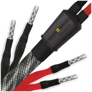 Wireworld Platinum Eclipse 10 Biwire cavi per diffusori – coppia di cavi biwire completa