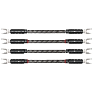 Wireworld Silver Eclipse 10 ponticelli biwire – terminazione forcella-forcella