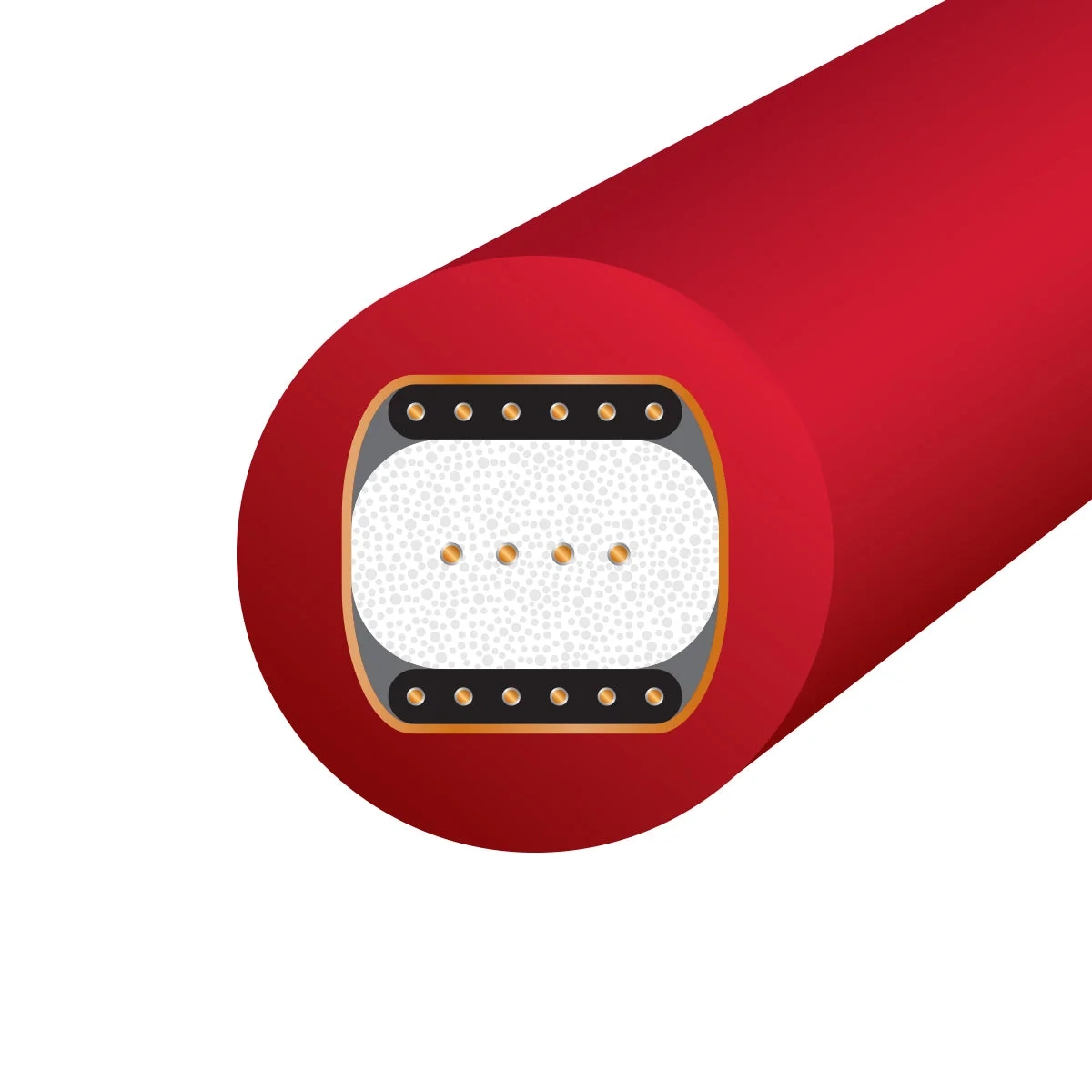 Wireworld Starlight 10 cavo digitale coassiale RCA – sezione trasversale del cavo Wireworld Starlight 10 cavo digitale coassiale RCA – sezione trasversale del cavo