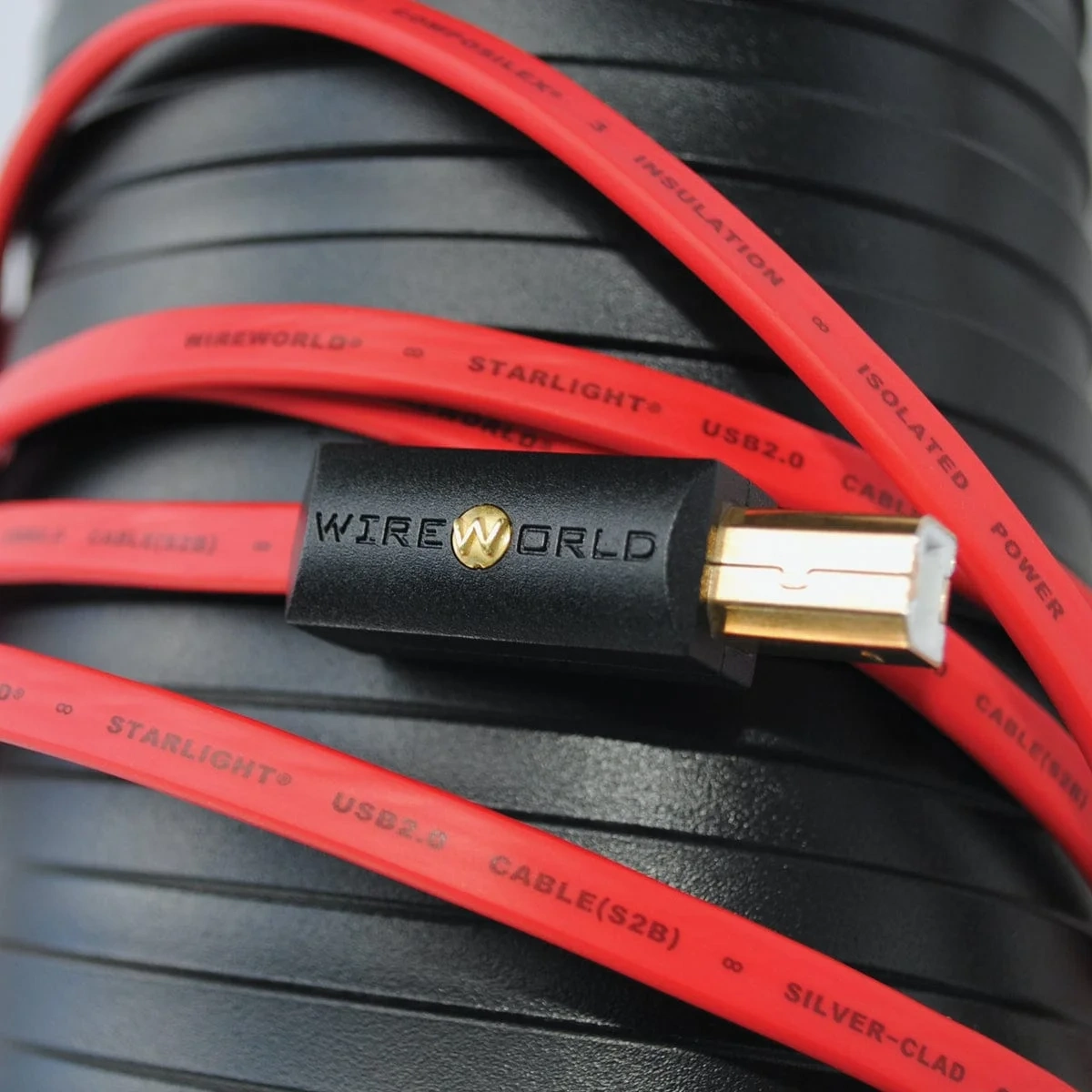 Wireworld Starlight 8 USB 2.0 A-B cavo USB audio – cavo in primo piano, immagine principale Wireworld Starlight 8 USB 2.0 A-B cavo USB audio – cavo in primo piano, immagine principale